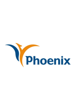 Phoenix Insurance – Loan management 365